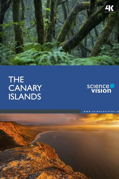 The Canary Islands