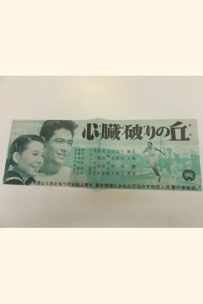 Shinzōyaburi no oka