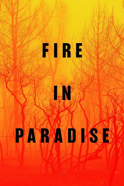 Fire in Paradise