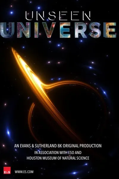 Unseen Universe