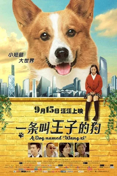 A Dog Named Wang Zi