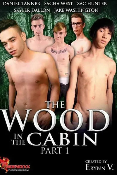 The Wood in the Cabin 1