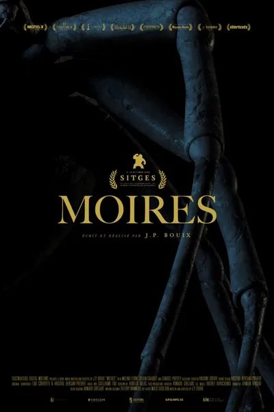 Moires