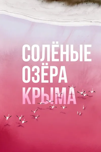Salty lakes of Crimea
