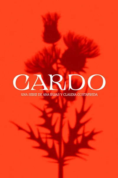 Cardo