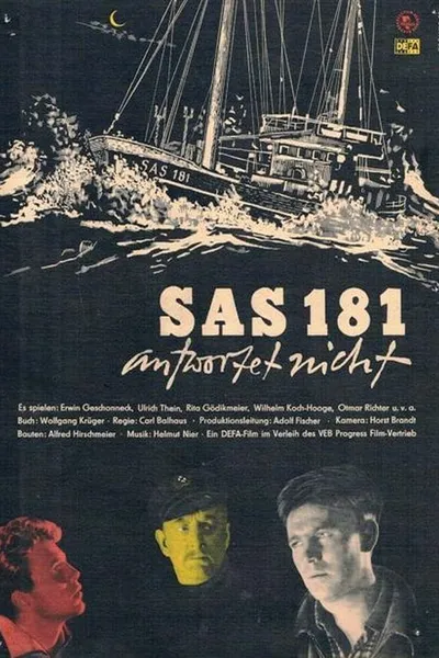 SAS 181 antwortet nicht