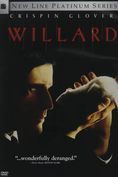 The Year of the Rat