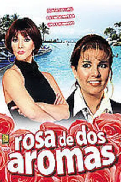 Rosa de dos aromas