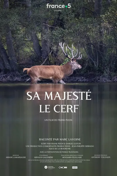 Sa majesté le cerf
