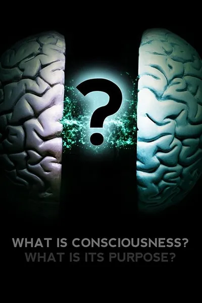 What Is Consciousness? What Is Its Purpose?