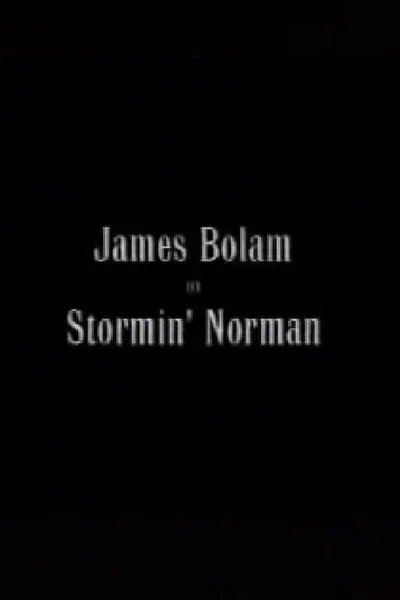 Stormin' Norman