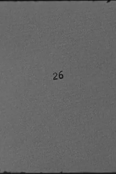 26