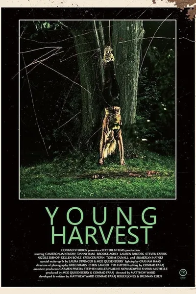 Young Harvest