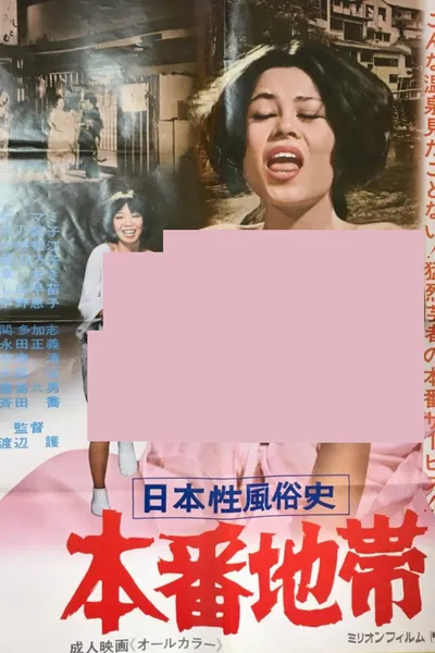 Japanese History of Sexual Customs: The Red-Light District
