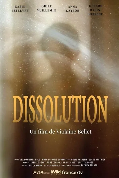 Dissolution