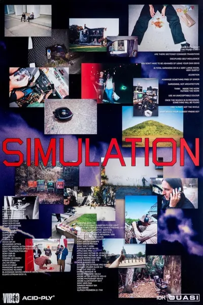 Simulation