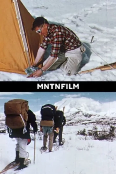 Mt McKinley Adventure