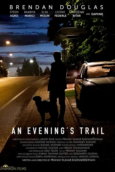 An Evening's Trail