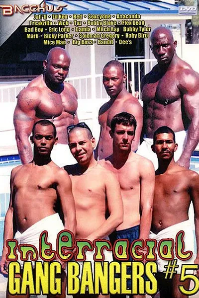 Interracial Gang Bangers 5