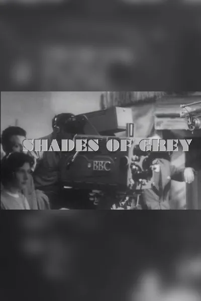 Shades of Grey