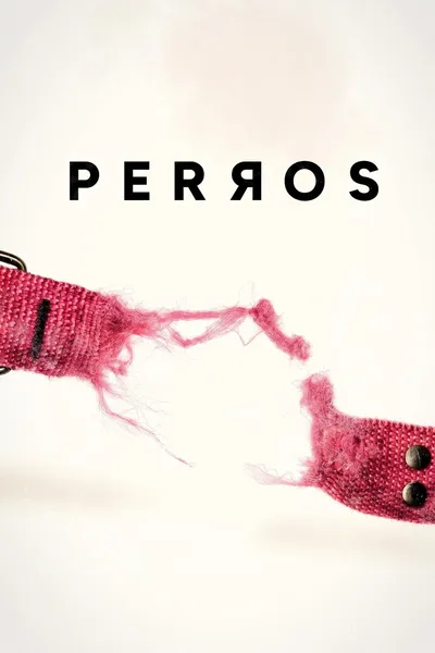 Perros