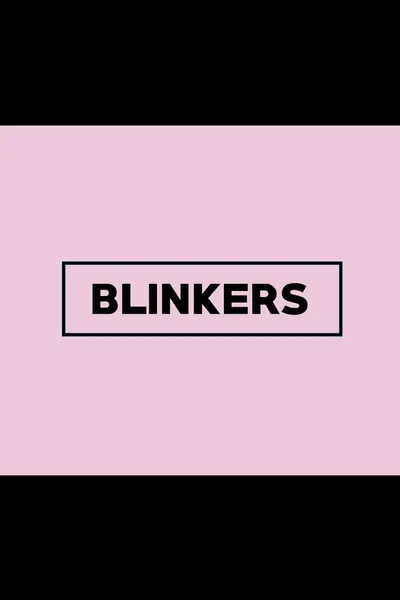 Blinkers