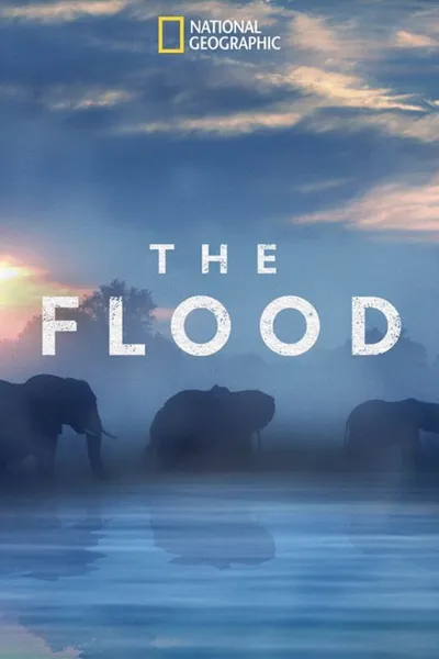 The Flood