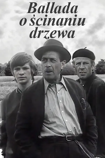 Ballada o ścinaniu drzewa