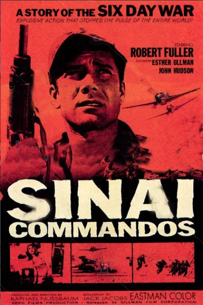 Sinai Commados