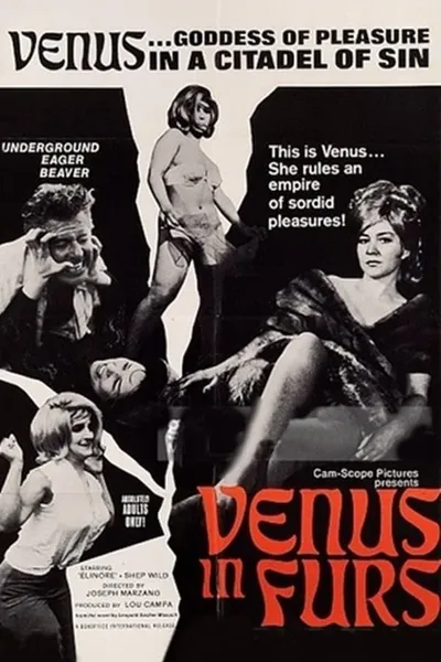 Venus in Furs