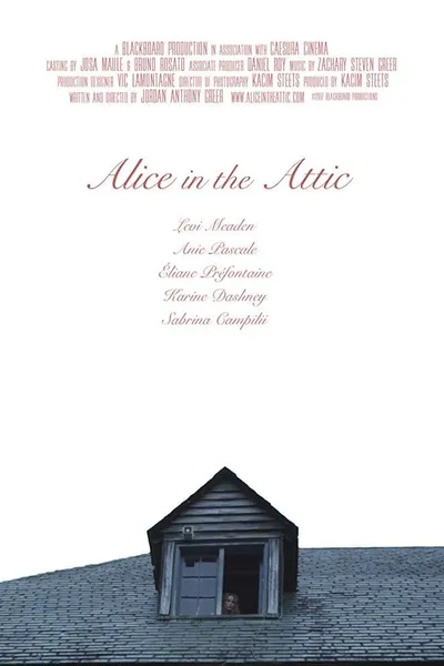 Alice in the Attic