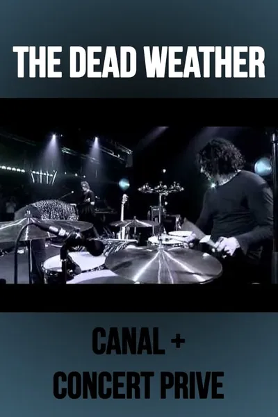 The Dead Weather: Live at Concert Prive, Canal +