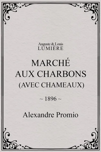 Marché aux charbons (avec chameaux)