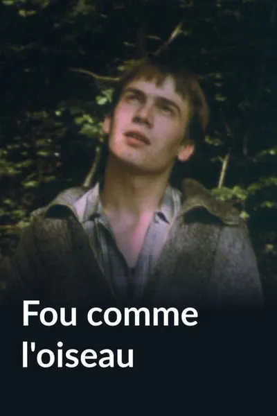 Fou comme l'oiseau