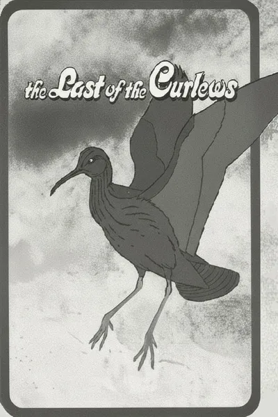 The Last of the Curlews