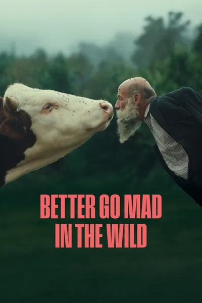 Better Go Mad in the Wild