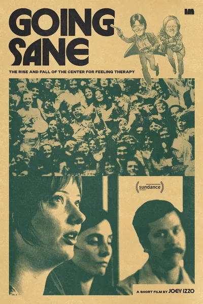 Going Sane: The Rise and Fall of the Center for Feeling Therapy