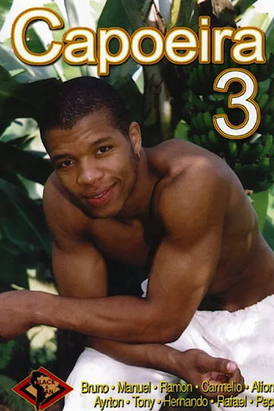Capoeira 3