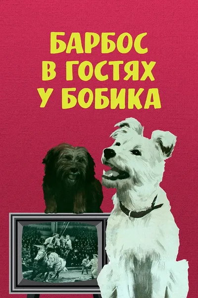 Barbos Visiting Bobik