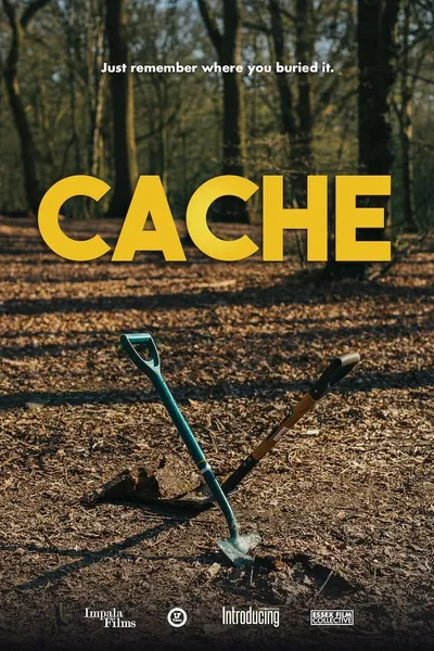 Cache