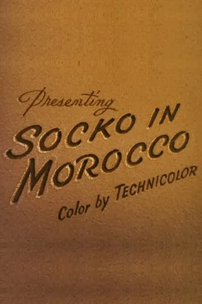 Socko in Morocco