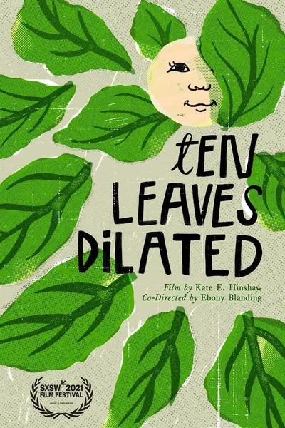 Ten Leaves Dilated