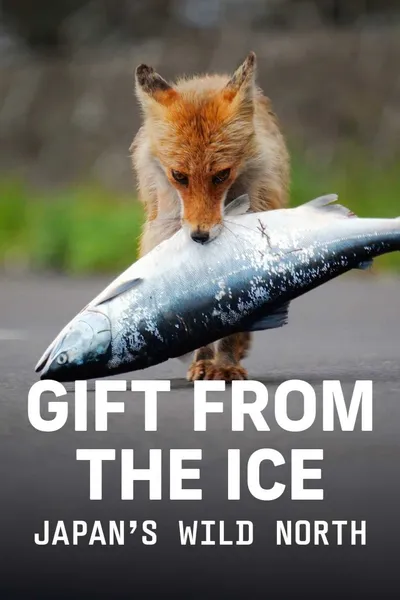 Gift from the Ice - Japan's Wild North