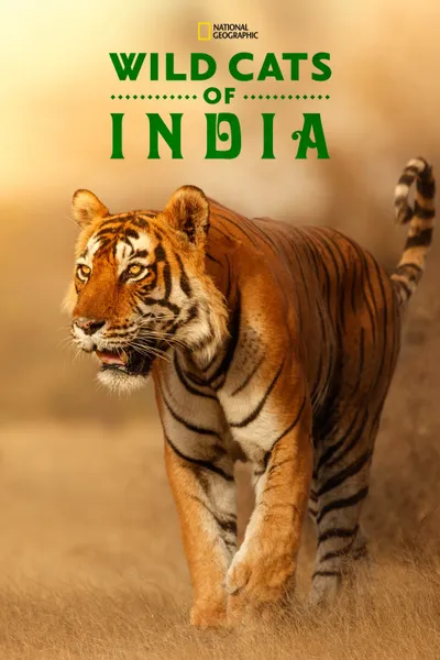 Wild Cats of India