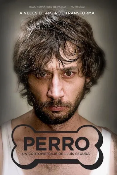 Perro