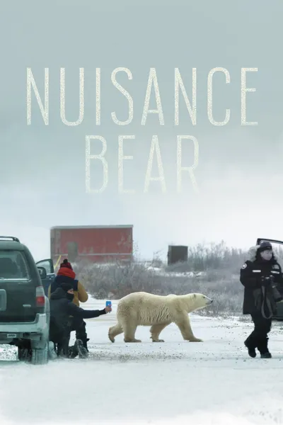 Nuisance Bear