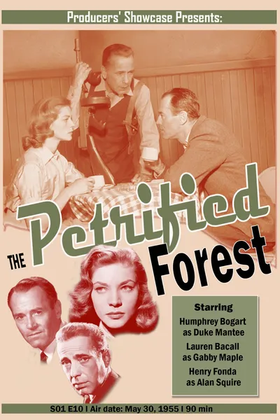 The Petrified Forest