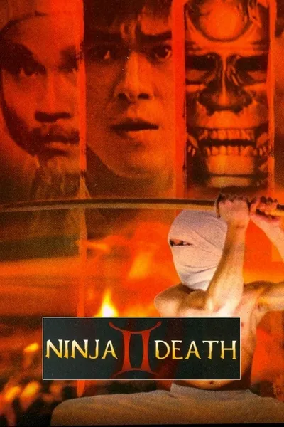 Ninja Death 2