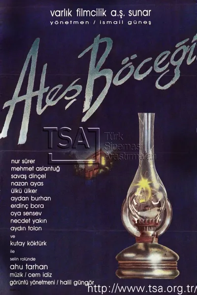 Ateş Böceği