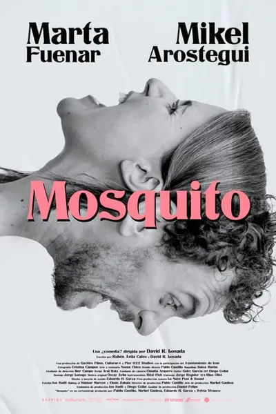 Mosquito